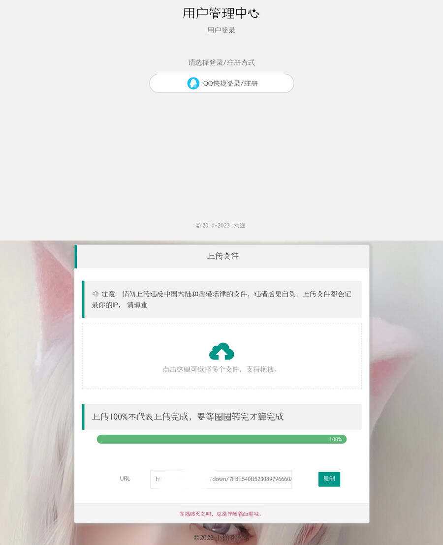 带后台的简洁网盘源码小猫咪网盘V1.3-捌零源码
